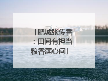肥城张传香：田间有担当粮香满心间