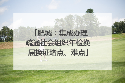 肥城：集成办理 疏通社会组织年检换届换证堵点、难点