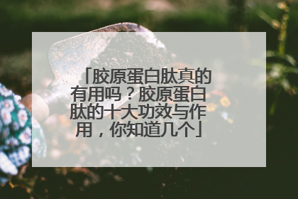 胶原蛋白肽真的有用吗？胶原蛋白肽的十大功效与作用，你知道几个