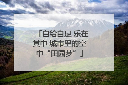 自给自足 乐在其中 城市里的空中“田园梦”