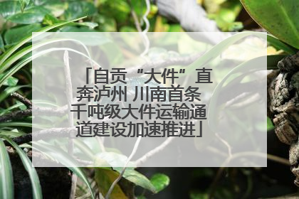 自贡“大件”直奔泸州 川南首条千吨级大件运输通道建设加速推进