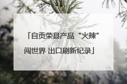 自贡荣县产品“火辣”闯世界 出口刷新纪录
