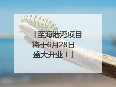 至海港湾项目将于6月28日盛大开业！