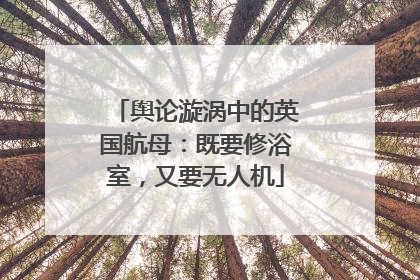 舆论漩涡中的英国航母：既要修浴室，又要无人机