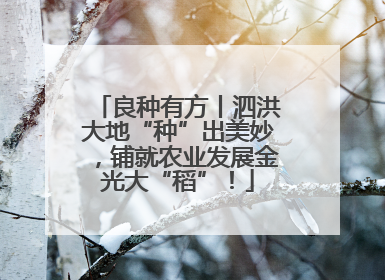 良种有方丨泗洪大地“种”出美妙，铺就农业发展金光大“稻”！