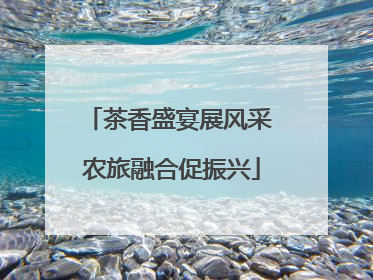 茶香盛宴展风采 农旅融合促振兴