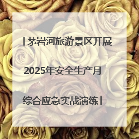 茅岩河旅游景区开展2025年安全生产月综合应急实战演练