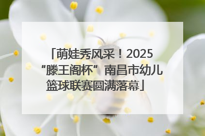 萌娃秀风采！2025“滕王阁杯”南昌市幼儿篮球联赛圆满落幕
