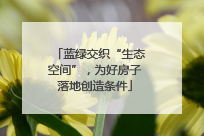 蓝绿交织“生态空间”，为好房子落地创造条件