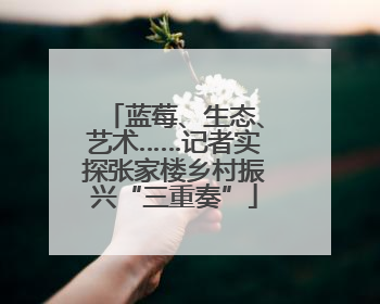 蓝莓、生态、艺术……记者实探张家楼乡村振兴“三重奏”