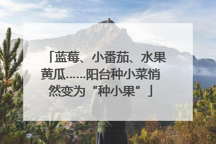 蓝莓、小番茄、水果黄瓜……阳台种小菜悄然变为“种小果”