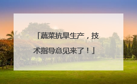蔬菜抗旱生产，技术指导意见来了！