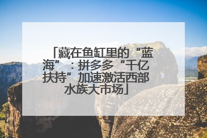 藏在鱼缸里的“蓝海”：拼多多“千亿扶持”加速激活西部水族大市场
