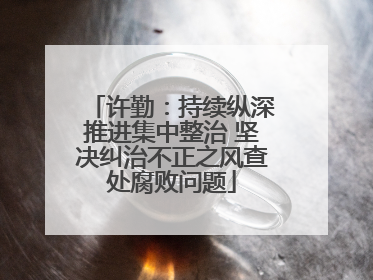 许勤：持续纵深推进集中整治 坚决纠治不正之风查处腐败问题