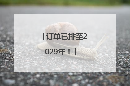 订单已排至2029年！