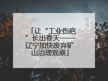 让“工业伤疤”长出春天——辽宁加快废弃矿山治理观察