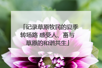 记录草原牧民的夏季转场路 感受人、畜与草原的和谐共生