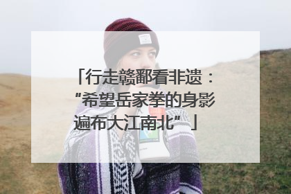 行走赣鄱看非遗：“希望岳家拳的身影遍布大江南北”