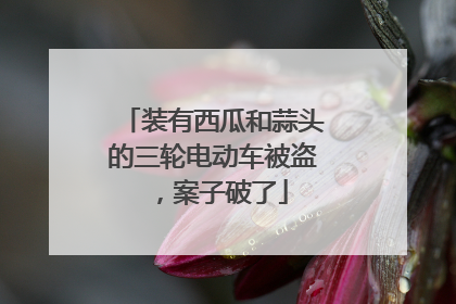 装有西瓜和蒜头的三轮电动车被盗，案子破了