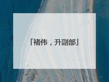 褚伟，升副部