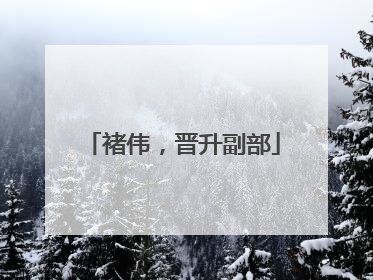 褚伟，晋升副部
