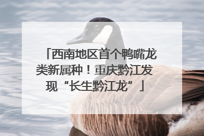 西南地区首个鸭嘴龙类新属种！重庆黔江发现“长生黔江龙”