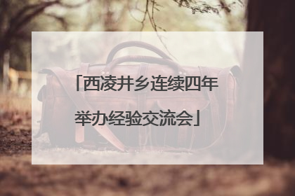 西凌井乡连续四年举办经验交流会
