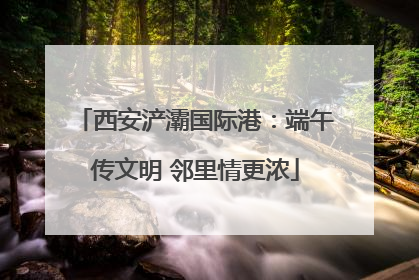 西安浐灞国际港：端午传文明 邻里情更浓