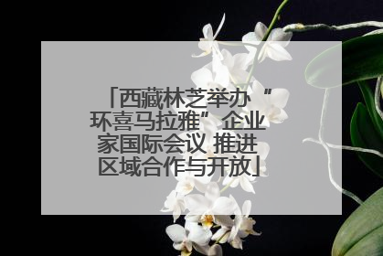 西藏林芝举办“环喜马拉雅”企业家国际会议 推进区域合作与开放