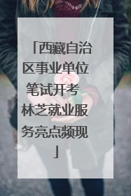 西藏自治区事业单位笔试开考 林芝就业服务亮点频现