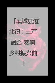 襄城县湛北镇：三产融合 奏响乡村振兴曲