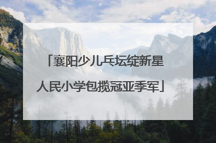 襄阳少儿乓坛绽新星 人民小学包揽冠亚季军