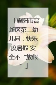 襄阳市高新区第二幼儿园：快乐度暑假 安全不“放假”