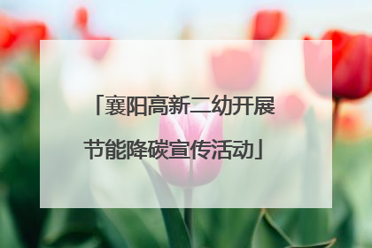 襄阳高新二幼开展节能降碳宣传活动