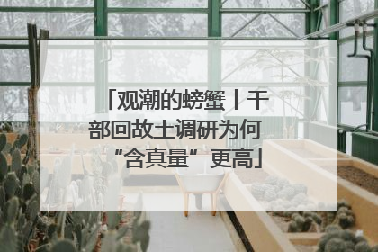 观潮的螃蟹丨干部回故土调研为何“含真量”更高
