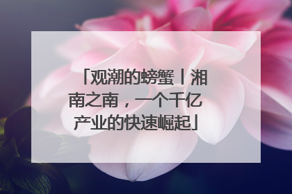 观潮的螃蟹丨湘南之南，一个千亿产业的快速崛起