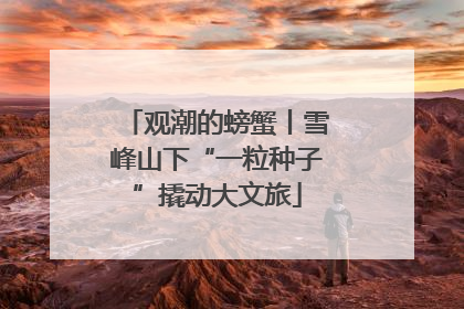 观潮的螃蟹丨雪峰山下“一粒种子”撬动大文旅
