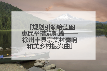规划引领绘蓝图 惠民举措筑新篇——徐州丰县宗集村奏响和美乡村振兴曲
