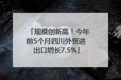 规模创新高！今年前5个月四川外贸进出口增长7.5%