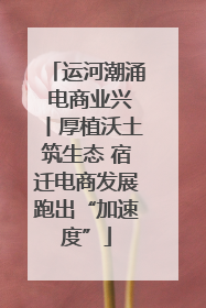 运河潮涌 电商业兴丨厚植沃土筑生态 宿迁电商发展跑出“加速度”