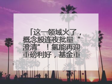 这一领域火了，概念股连夜批量“澄清”！氢能再迎重磅利好，基金重仓股出炉