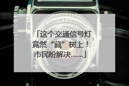 这个交通信号灯竟然“藏”树上！市民盼解决……