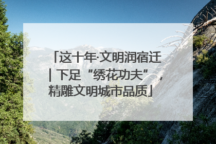 这十年·文明润宿迁｜下足“绣花功夫”，精雕文明城市品质