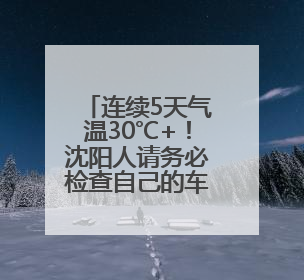 连续5天气温30℃+！沈阳人请务必检查自己的车，这些物品可能变“炸弹”！