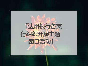 达州银行各支行组织开展主题团日活动