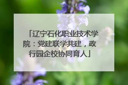 辽宁石化职业技术学院：党建联学共建，政行园企校协同育人