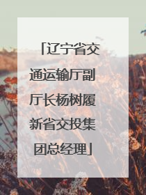 辽宁省交通运输厅副厅长杨树履新省交投集团总经理