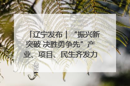 辽宁发布｜“振兴新突破 决胜勇争先”产业、项目、民生齐发力 葫芦岛按下决胜之年“加速键”