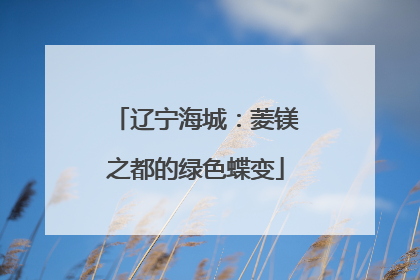 辽宁海城：菱镁之都的绿色蝶变