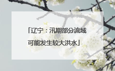 辽宁：汛期部分流域可能发生较大洪水